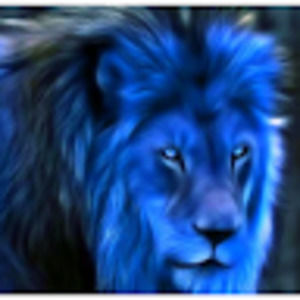 Meet your Posher, Ester